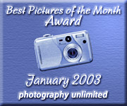 International Online Award