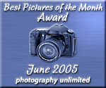 International Online Award