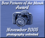 Best Picture of the Month Award - November 2005