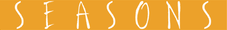 Seasonsindia :: Gives you the latest from the Indian fashion industry.