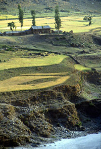 Farmland in Himachal Pradesh