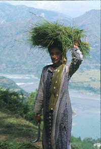 Village Girl, Himachal Pradesh